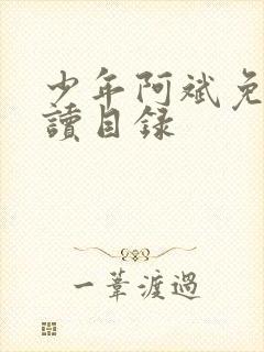 少年阿斌免费阅读目录