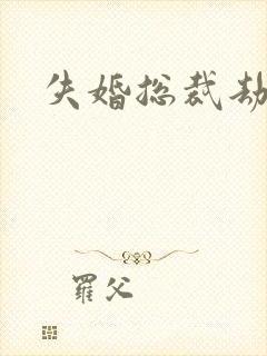 失婚总裁劫前妻