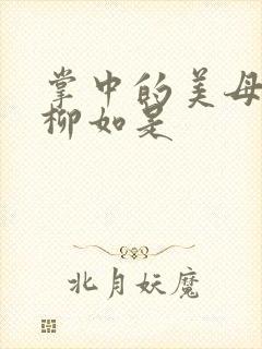 掌中的美母版主柳如是