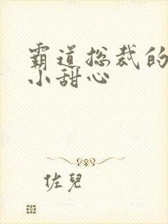 霸道总裁的宠爱小甜心