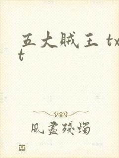 五大贼王 txt