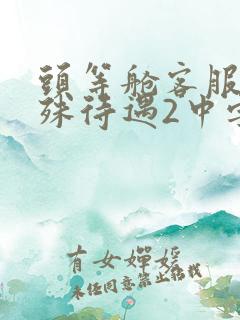 头等舱客服的特殊待遇2中字