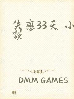 失恋33天 小说