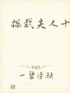 总裁夫人十八岁