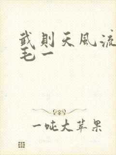 武则天风流艳情毛一