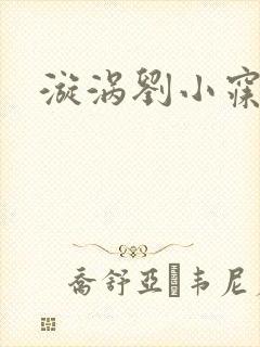 漩涡刘小寐