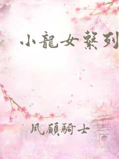 小龙女系列小说