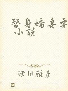 替身娇妻要离婚 小说