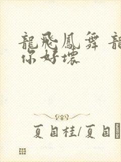 龙飞凤舞 龙王你好坏