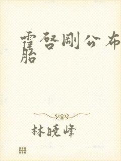 霍启刚公布龙凤胎