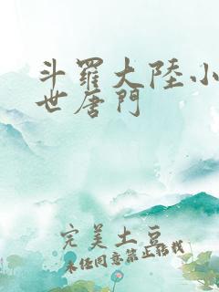 斗罗大陆小说绝世唐门