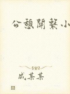 公憩关系小说
