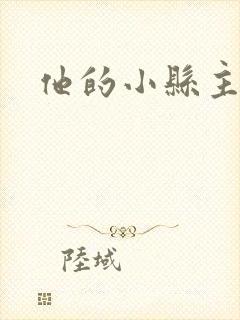 他的小县主