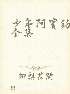 少年阿宾的故事全集