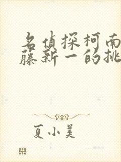 名侦探柯南给工藤新一的挑战书