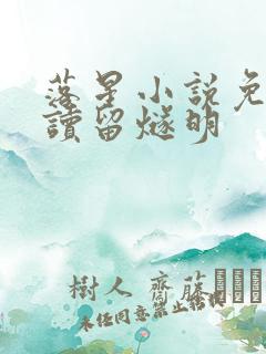 落星小说免费阅读留燧明