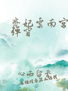 齐妃云南宫夜无弹窗