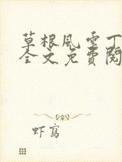 草根风云丁长生全文免费阅读