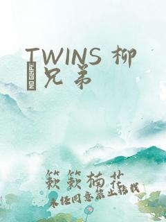 TWINS 柳澤兄弟