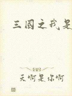 三国之我是华雄