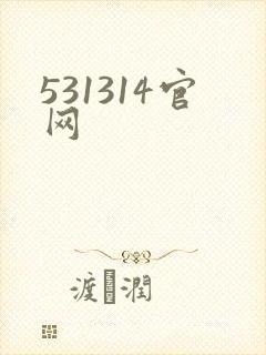 531314官网