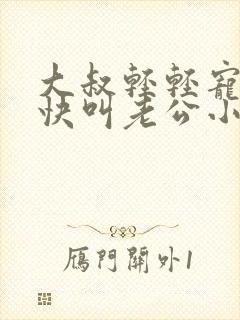 大叔轻轻宠宝贝快叫老公小说