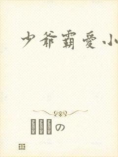 少爷霸爱小丫头