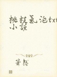 桃枝气泡txt小说