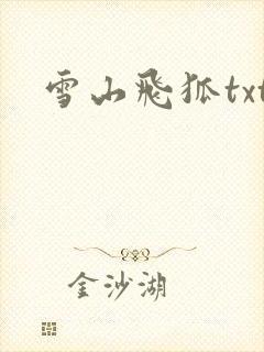 雪山飞狐txt