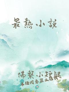 最热小说