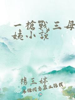 一枪战三母2雪姨小说