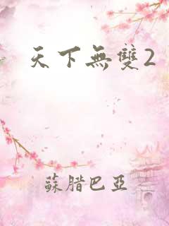 天下无双2