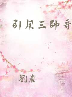 引用三帅哥