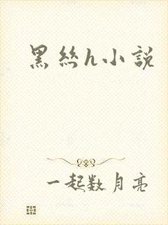 黑丝h小说