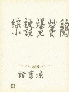 综被爆炒的日常小说免费阅读