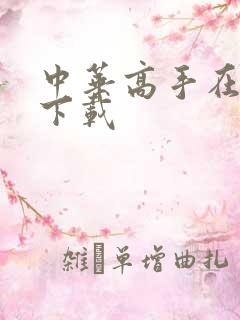 中华高手在异世下载