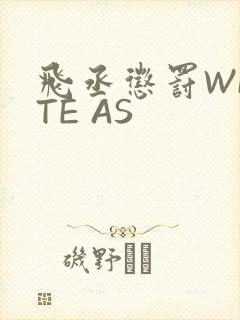 飞丞惩罚WRITE AS