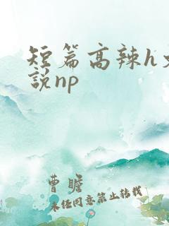 短篇高辣h文小说np