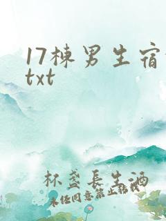 17栋男生宿舍txt
