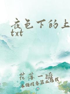 夜色下的上海滩txt