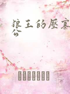 狼王的压寨小相公