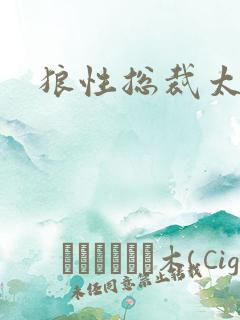 狼性总裁太凶猛