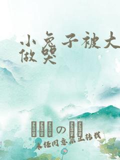 小兔子被大蟒蛇做哭