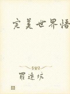 完美世界悟性石