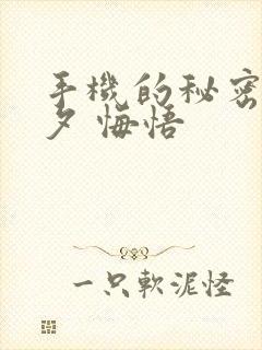 手机的秘密 七夕 悔悟