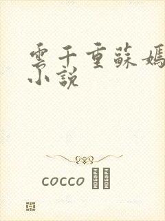 云千重苏嫣然的小说