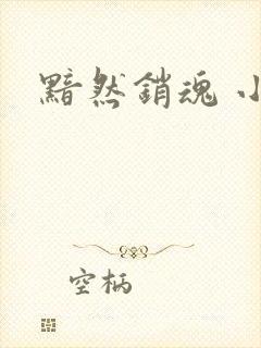 黯然销魂 小说