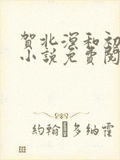 贺北溟和初夏的小说免费阅读无弹窗