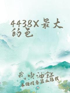 4438X最大的色