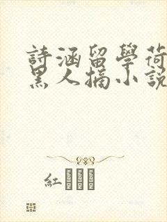 诗涵留学荷兰被黑人摘小说